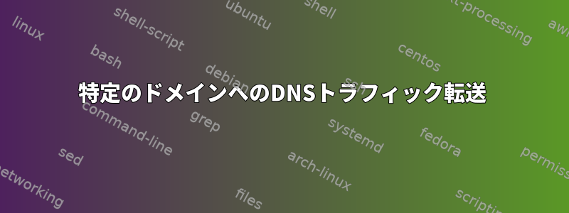 特定のドメインへのDNSトラフィック転送