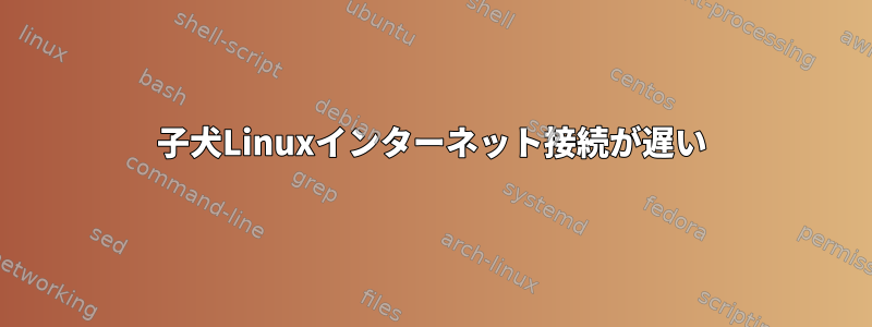 子犬Linuxインターネット接続が遅い