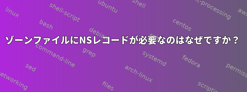 ゾーンファイルにNSレコードが必要なのはなぜですか？