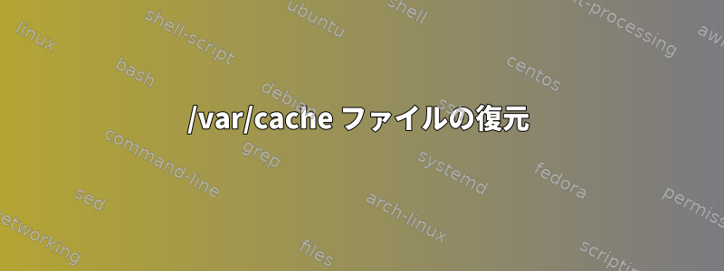 /var/cache ファイルの復元