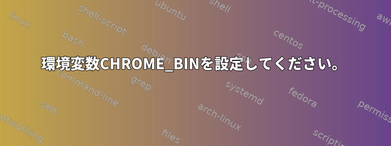 環境変数CHROME_BINを設定してください。