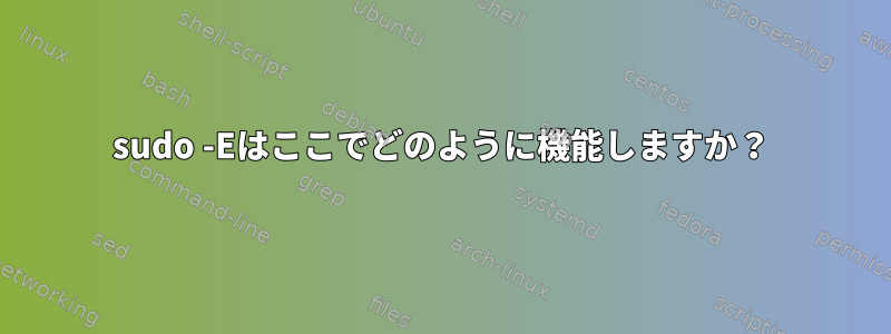 sudo -Eはここでどのように機能しますか？