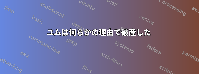 ユムは何らかの理由で破産した