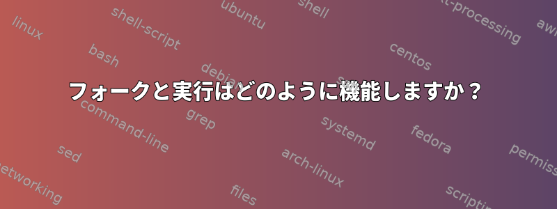 フォークと実行はどのように機能しますか？