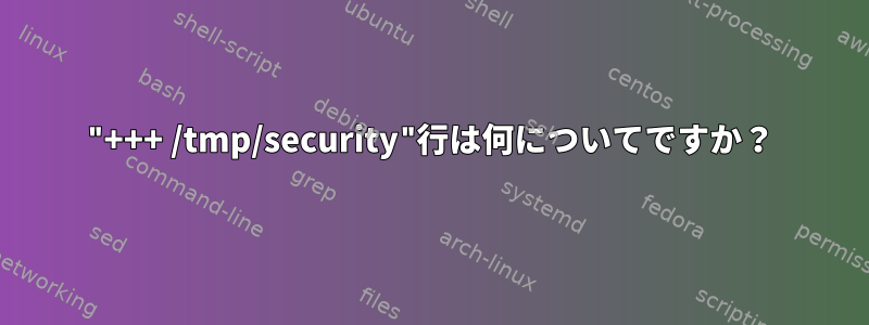 "+++ /tmp/security"行は何についてですか？