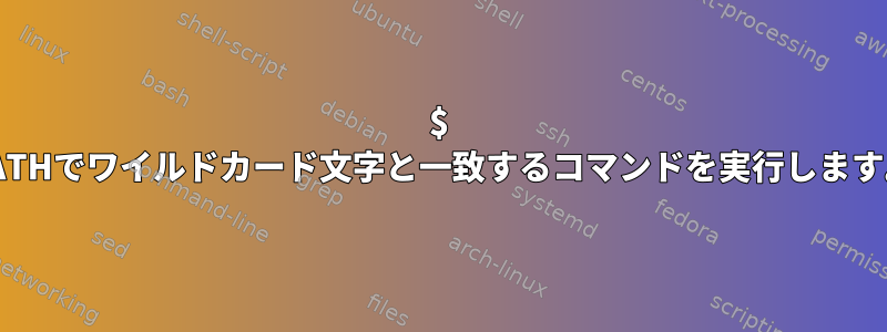 $ PATHでワイルドカード文字と一致するコマンドを実行します。