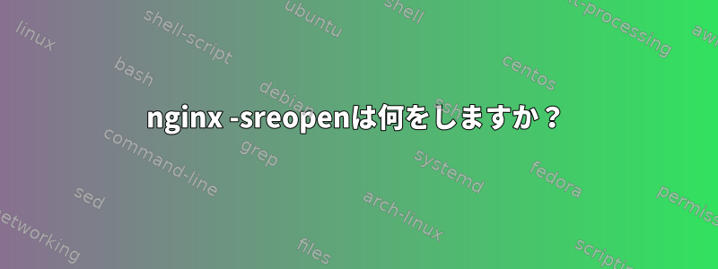 nginx -sreopenは何をしますか？