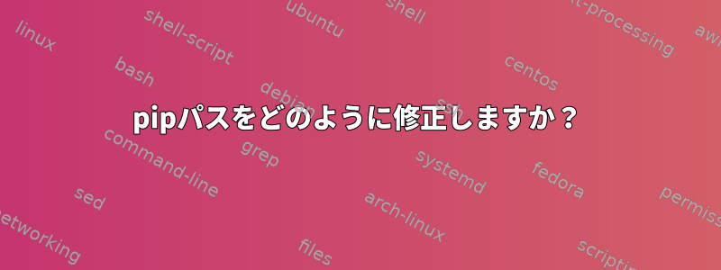 pipパスをどのように修正しますか？