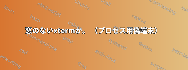 窓のないxtermか。 （プロセス用偽端末）