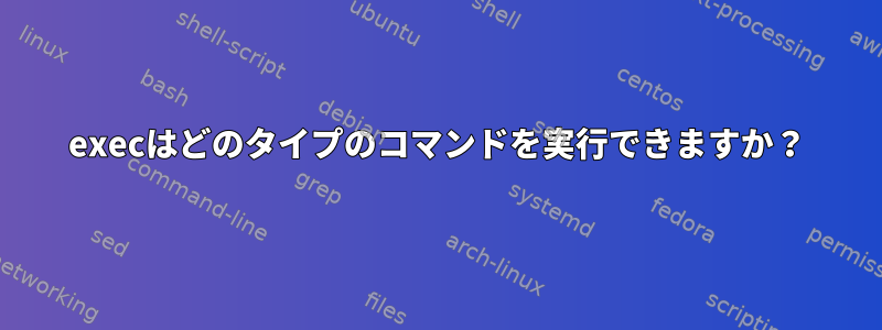 execはどのタイプのコマンドを実行できますか？