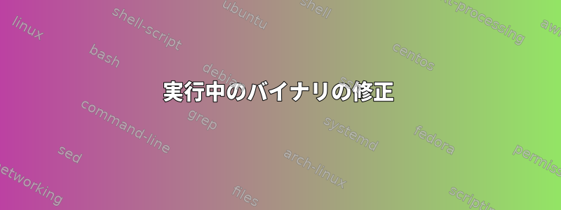 実行中のバイナリの修正