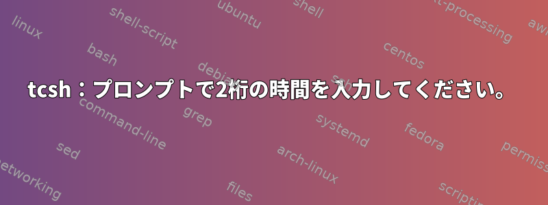 tcsh：プロンプトで2桁の時間を入力してください。