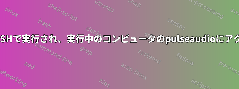 プログラムはSSHで実行され、実行中のコンピュータのpulseaudioにアクセスします。