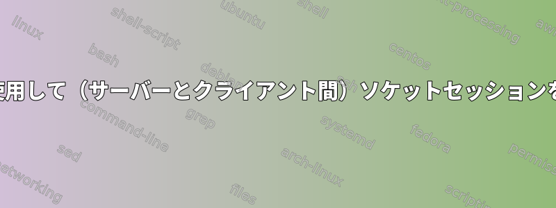 シェルコマンドを使用して（サーバーとクライアント間）ソケットセッションを確立できますか？