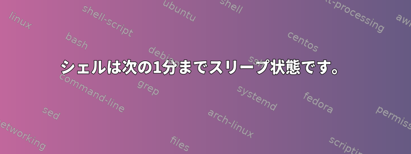 シェルは次の1分までスリープ状態です。