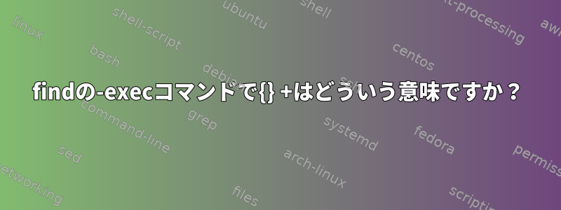 findの-execコマンドで{} +はどういう意味ですか？