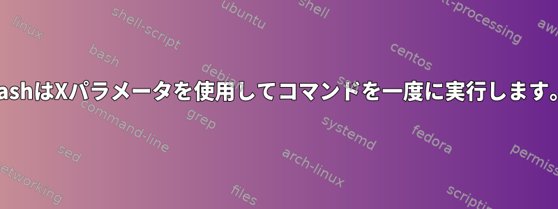 bashはXパラメータを使用してコマンドを一度に実行します。