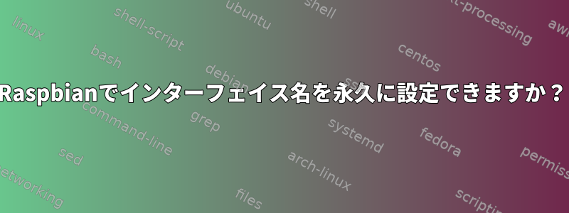 Raspbianでインターフェイス名を永久に設定できますか？