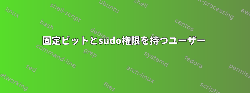 固定ビットとsudo権限を持つユーザー