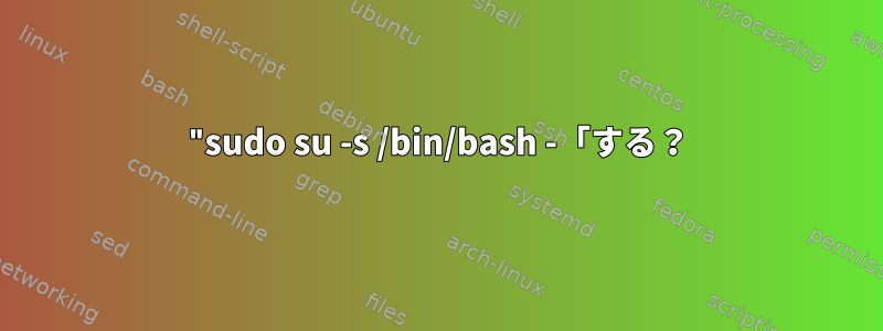 "sudo su -s /bin/bash -「する？