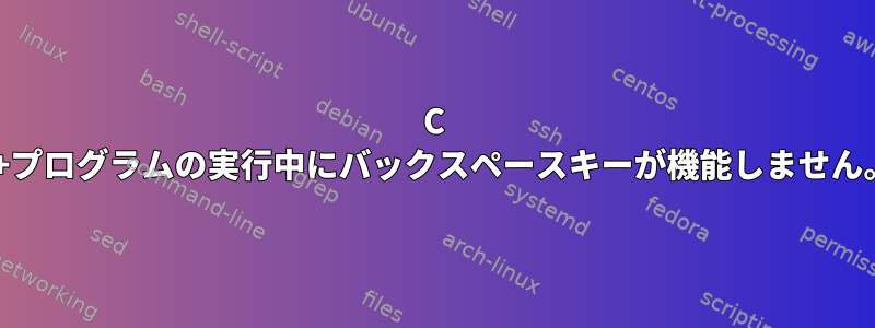 C ++プログラムの実行中にバックスペースキーが機能しません。