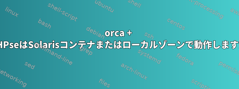 orca + RICHPseはSolarisコンテナまたはローカルゾーンで動作しますか？