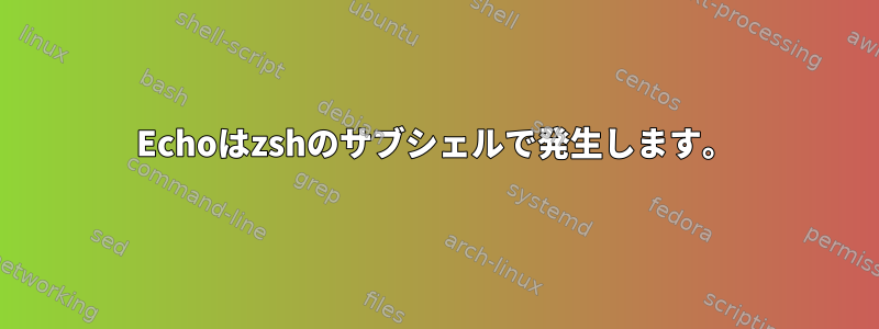 Echoはzshのサブシェルで発生します。