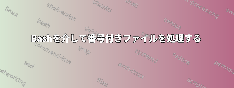 Bashを介して番号付きファイルを処理する