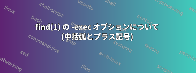 find(1) の -exec オプションについて (中括弧とプラス記号)