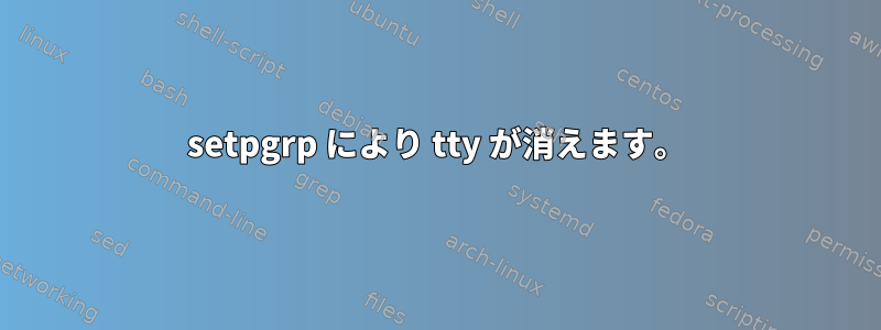 setpgrp により tty が消えます。