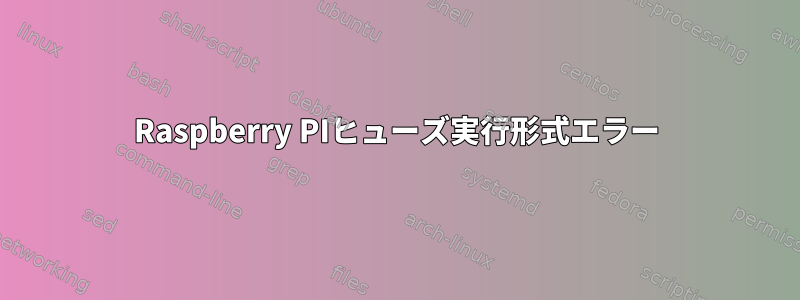 Raspberry PIヒューズ実行形式エラー