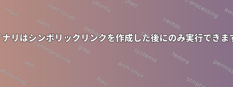 バイナリはシンボリックリンクを作成した後にのみ実行できます。