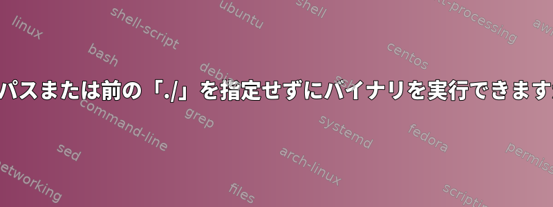 フルパスまたは前の「./」を指定せずにバイナリを実行できますか？