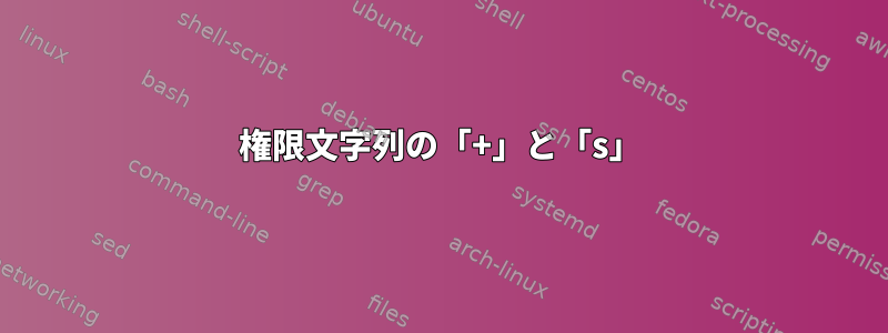 権限文字列の「+」と「s」