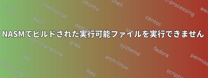 NASMでビルドされた実行可能ファイルを実行できません