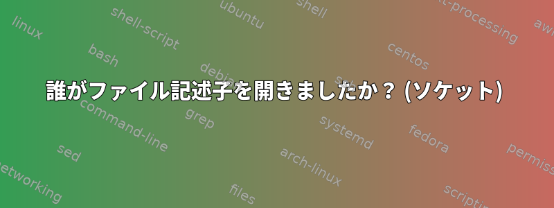 誰がファイル記述子を開きましたか？ (ソケット)