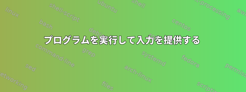 プログラムを実行して入力を提供する