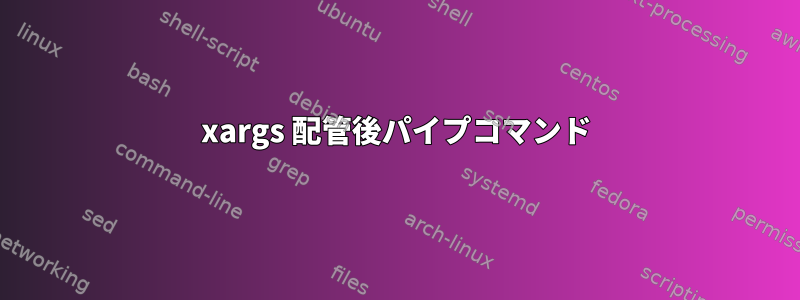 xargs 配管後パイプコマンド