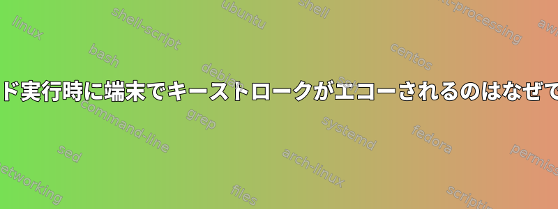 コマンド実行時に端末でキーストロークがエコーされるのはなぜですか?