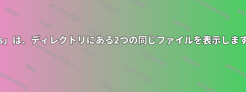 「ls」は、ディレクトリにある2つの同じファイルを表示します。