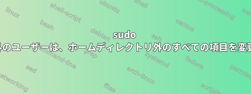 sudo ユーザー以外のユーザーは、ホームディレクトリ外のすべての項目を変更できます。