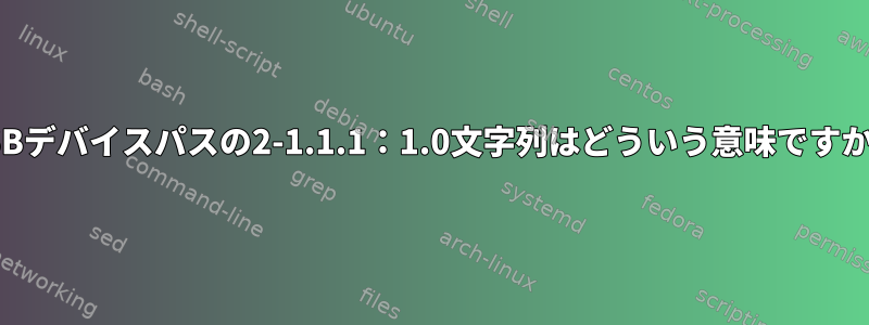 USBデバイスパスの2-1.1.1：1.0文字列はどういう意味ですか？