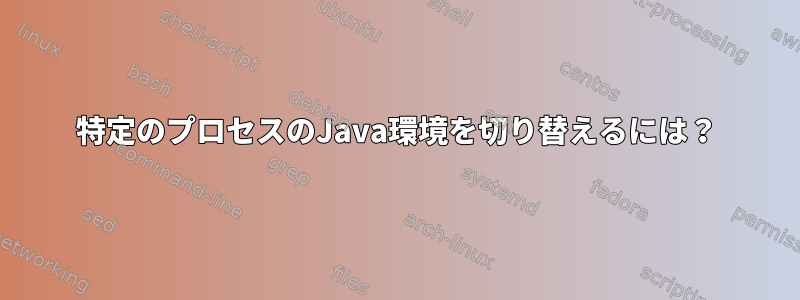 特定のプロセスのJava環境を切り替えるには？