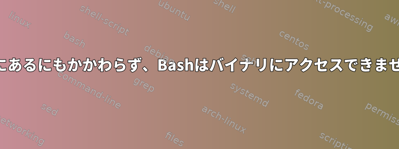 パスにあるにもかかわらず、Bashはバイナリにアクセスできません。