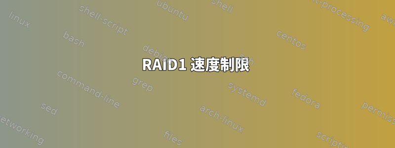 RAID1 速度制限