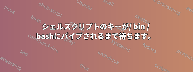 シェルスクリプトのキーが/ bin / bashにパイプされるまで待ちます。