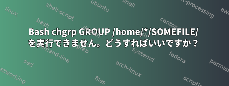 Bash chgrp GROUP /home/*/SOMEFILE/ を実行できません。どうすればいいですか？