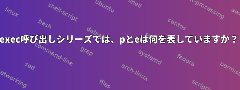 exec呼び出しシリーズでは、pとeは何を表していますか？