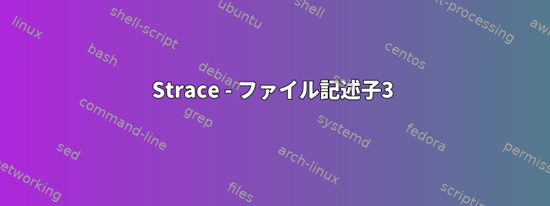 Strace - ファイル記述子3