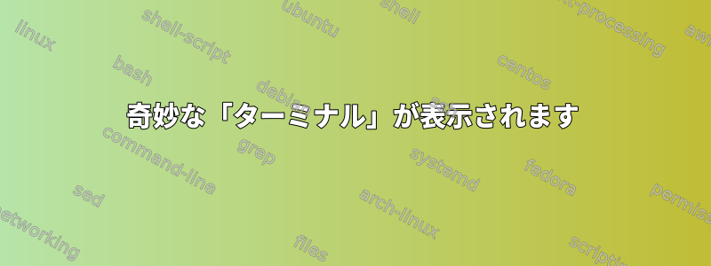 奇妙な「ターミナル」が表示されます